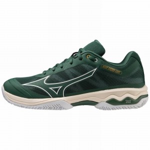 Mizuno Wave Exceed Light CC Παπουτσια Τενισ ανδρικα ασπρα | Greece M9034QJ