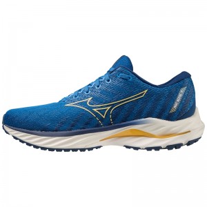 Mizuno Wave Inspire 19 Παπουτσια για Τρεξιμο ανδρικα μπλε μπλε | Greece M4015RA