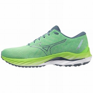 Mizuno Wave Inspire 19 Παπουτσια για Τρεξιμο ανδρικα μπλε πρασινο | Greece M7043OB