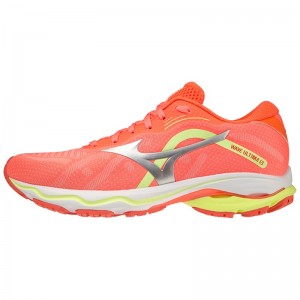 Mizuno Wave Ultima 13 Παπουτσια για Τρεξιμο γυναικεια πορτοκαλι | Greece M9854RW