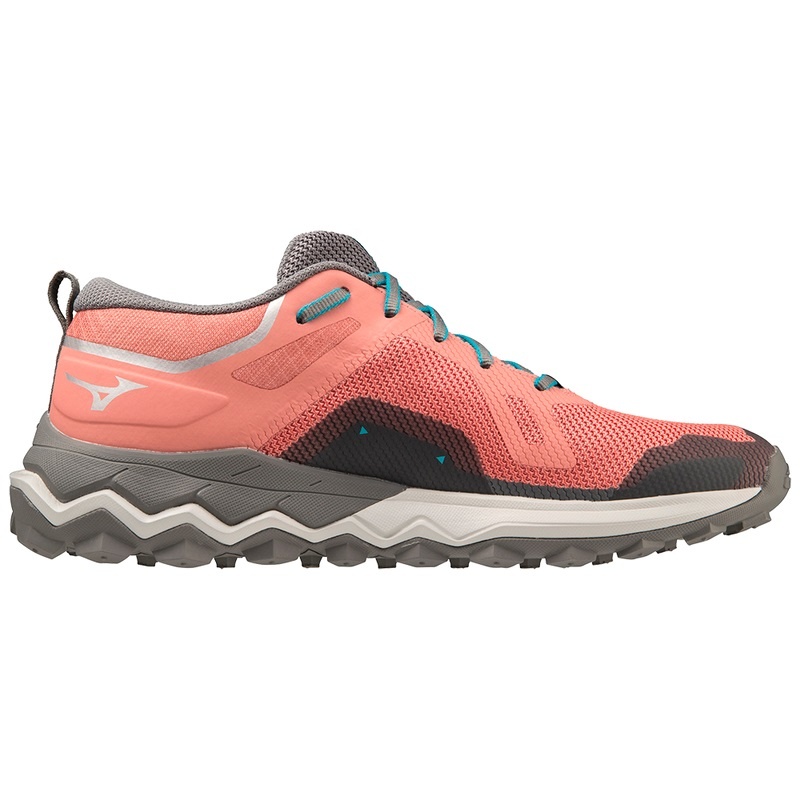 Mizuno Wave Ibuki 4 GTX Παπουτσια Trail γυναικεια μπλε | Greece M6179WD