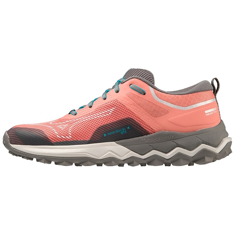 Mizuno Wave Ibuki 4 GTX Παπουτσια Trail γυναικεια μπλε | Greece M6179WD