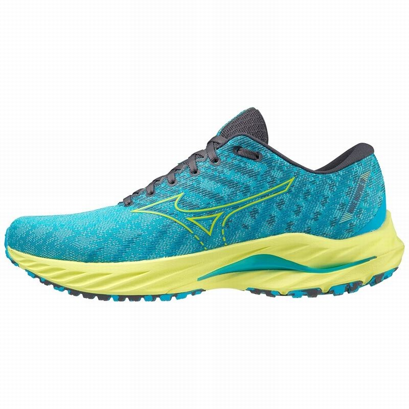 Mizuno Wave Inspire 19 Παπουτσια για Τρεξιμο ανδρικα μπλε | Greece M7132OP