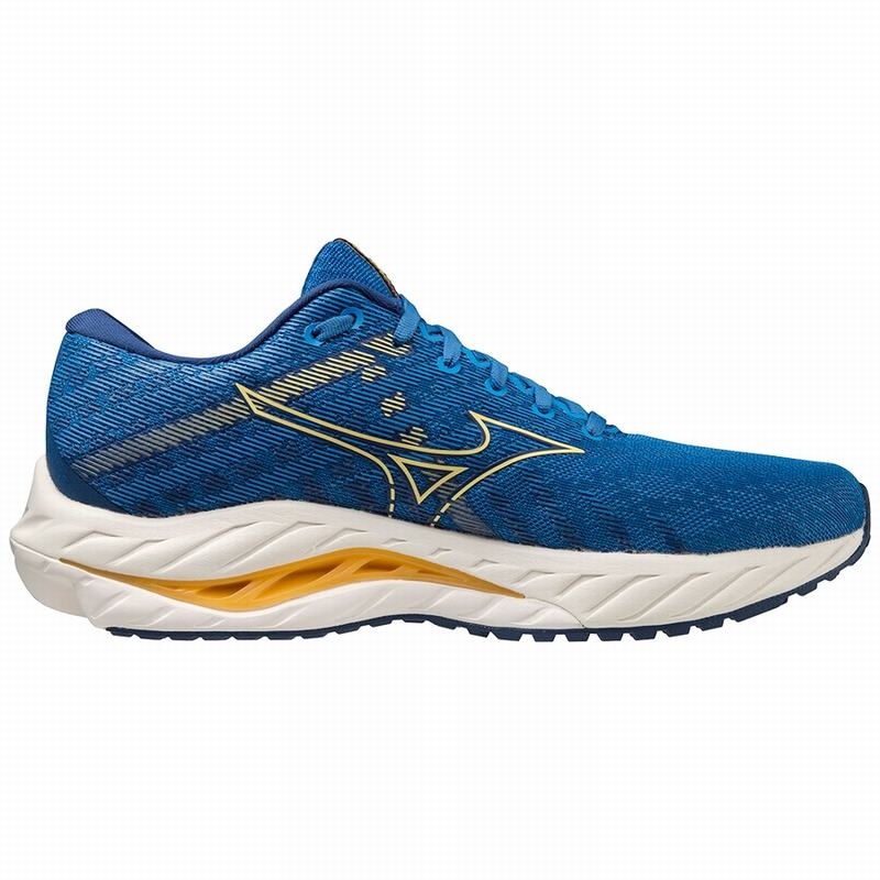 Mizuno Wave Inspire 19 Παπουτσια για Τρεξιμο ανδρικα μπλε μπλε | Greece M4015RA