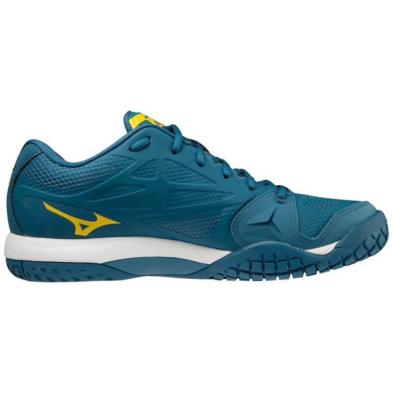 Mizuno Wave Intense Tour 5 AC Παπουτσια Τενισ ανδρικα μπλε | Greece M9025BS