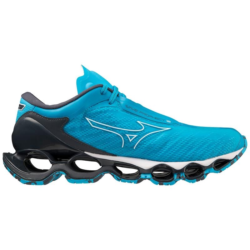 Mizuno Wave Prophecy 12 Παπουτσια για Τρεξιμο ανδρικα μπλε | Greece M4983GP