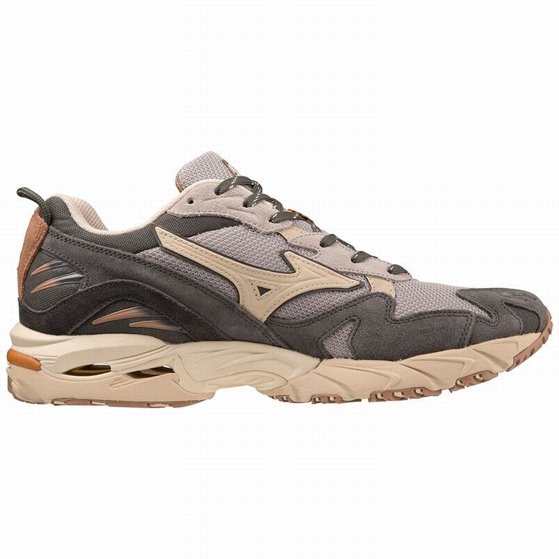 Mizuno Wave Rider 10 Αθλητικα Παπουτσια ανδρικα γκρι | Greece M5932IU