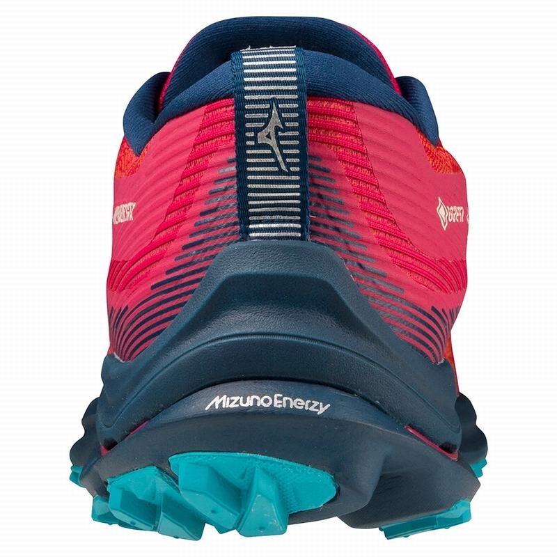 Mizuno Wave Rider GTX Παπουτσια για Τρεξιμο γυναικεια μπλε μπλε | Greece M5793EK